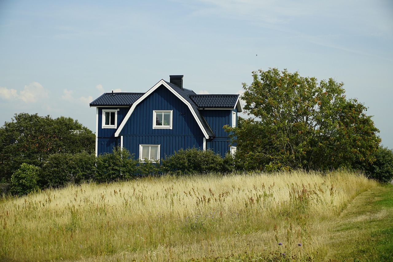 Scouts gathering outdoors for a shared activity